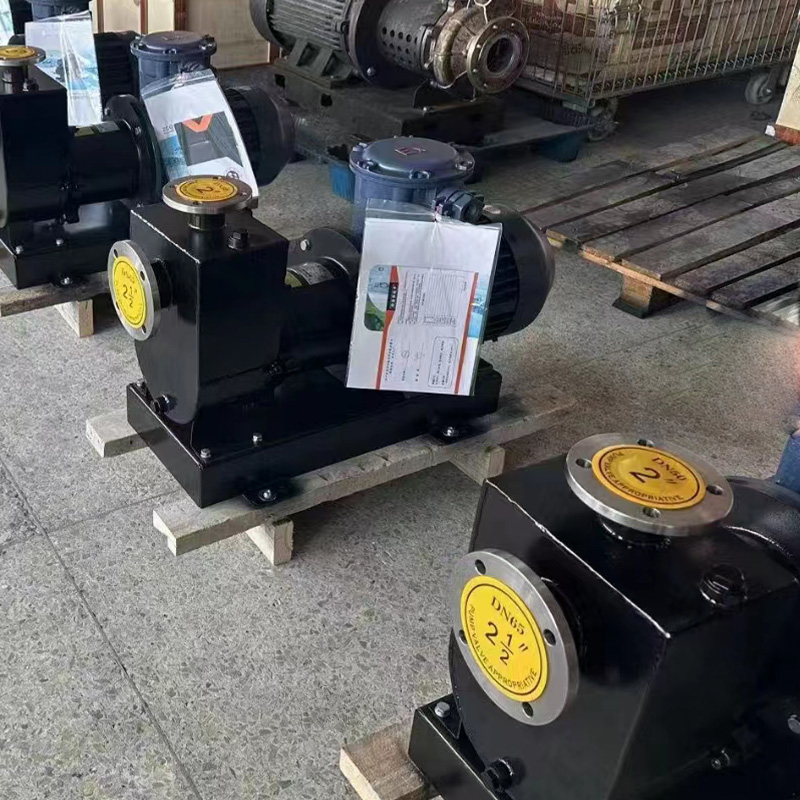 ZCQ magnetisk selvprimende pumpe